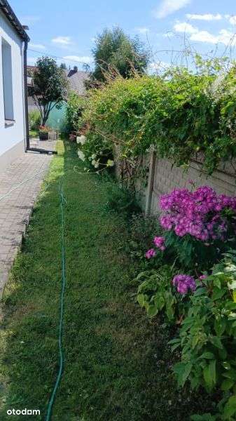 Super Dom Z Potencjałem Komercyjnym-10