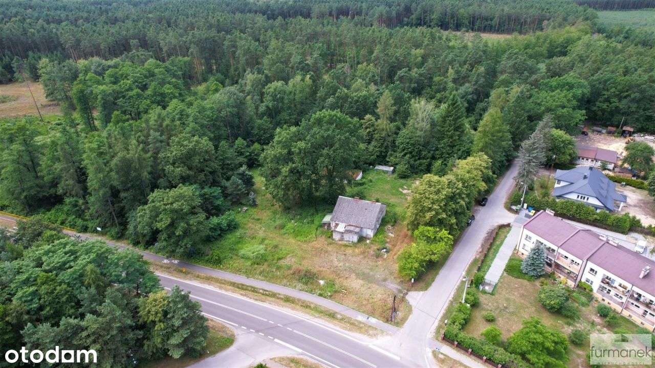 60 - arowa działka z ogromnym potencjałem! - Pełny obrazek: 5/20