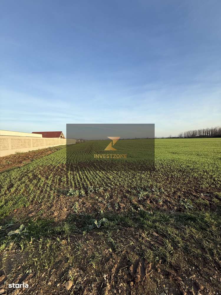 27.200 mp comuna Santandrei - Bihor - Oradea - Imagine principală: 5/6