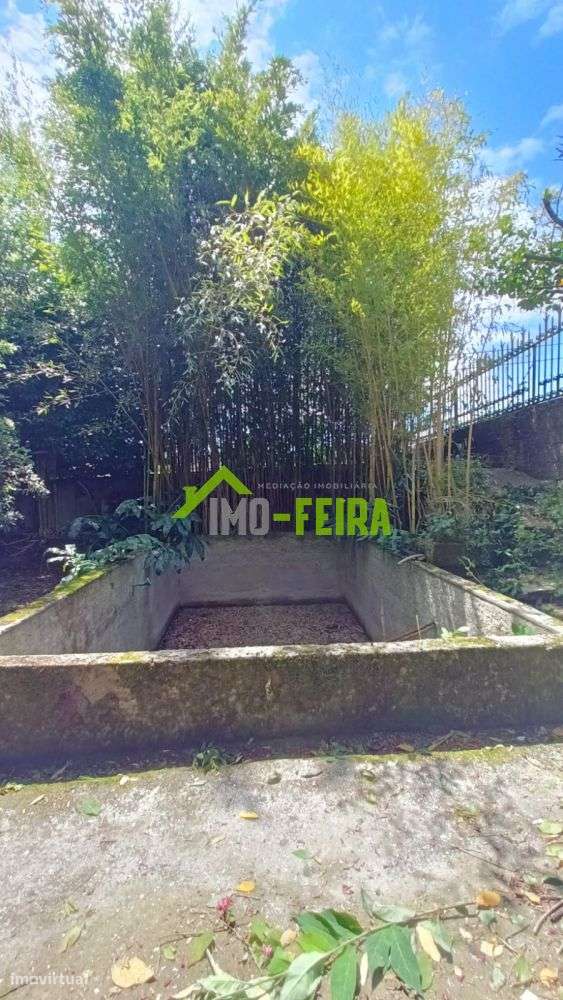 Quinta T6, São João da Madeira-38