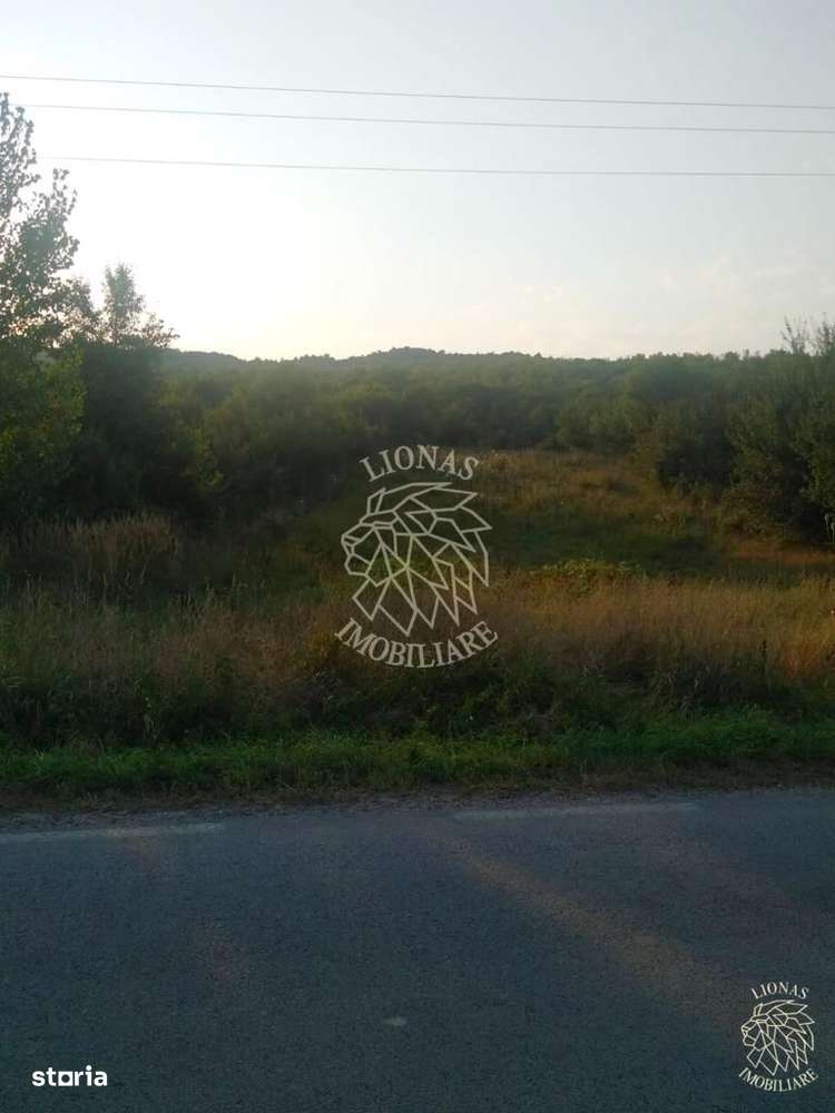 Teren 5500 mp-oportunitate investitie-pretabil cabana-Jelna - Imagine principală: 5/5