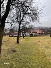 Vila de vanzare BRAN cu teren in suprafata de 5330 mp - Imagine principală: 4/20