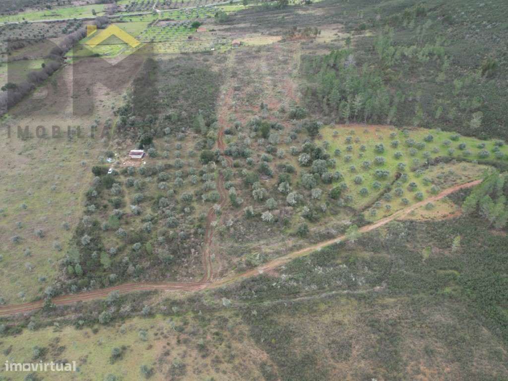 Terreno rústico com 17.160m2 para venda no Freixial do Campo! - Grande imagem: 3/8