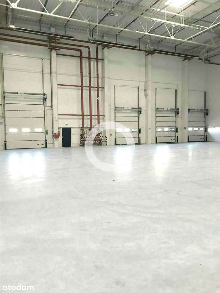 Magazyn z dobrym dostępem do obwodnicy! - Pełny obrazek: 5/6