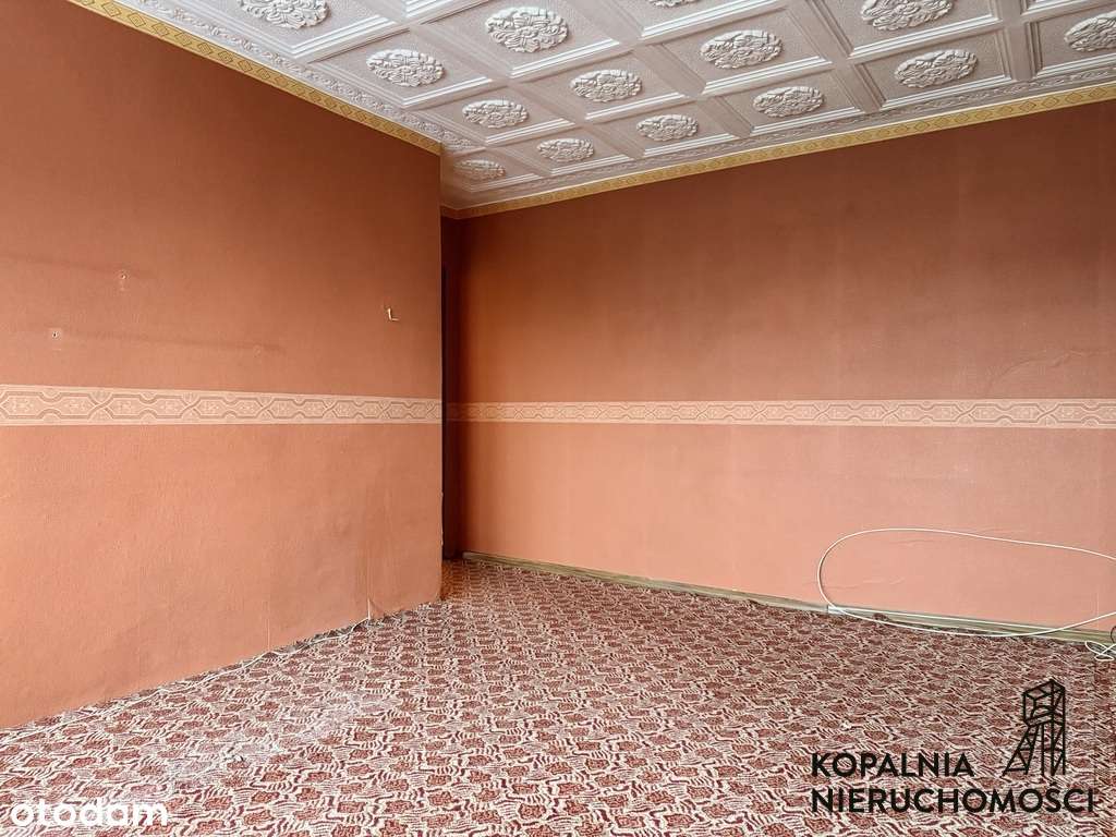 2 Pokoje | Garderoba | Wejście do Parku Śląskiego - Pełny obrazek: 4/8