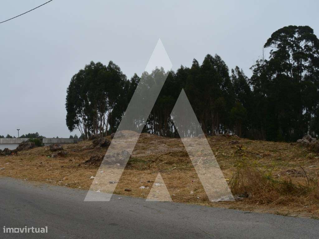 Terreno Urbano para construção em Ovar! - Grande imagem: 2/19