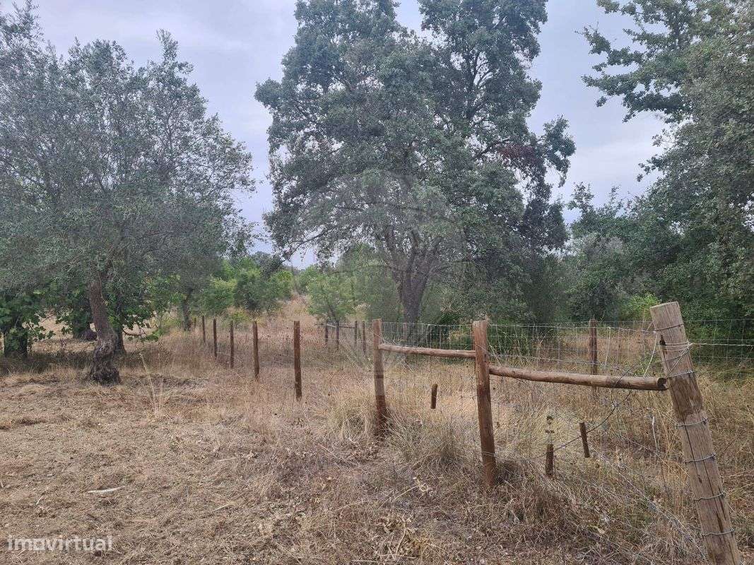 Terreno  para venda - Grande imagem: 4/22