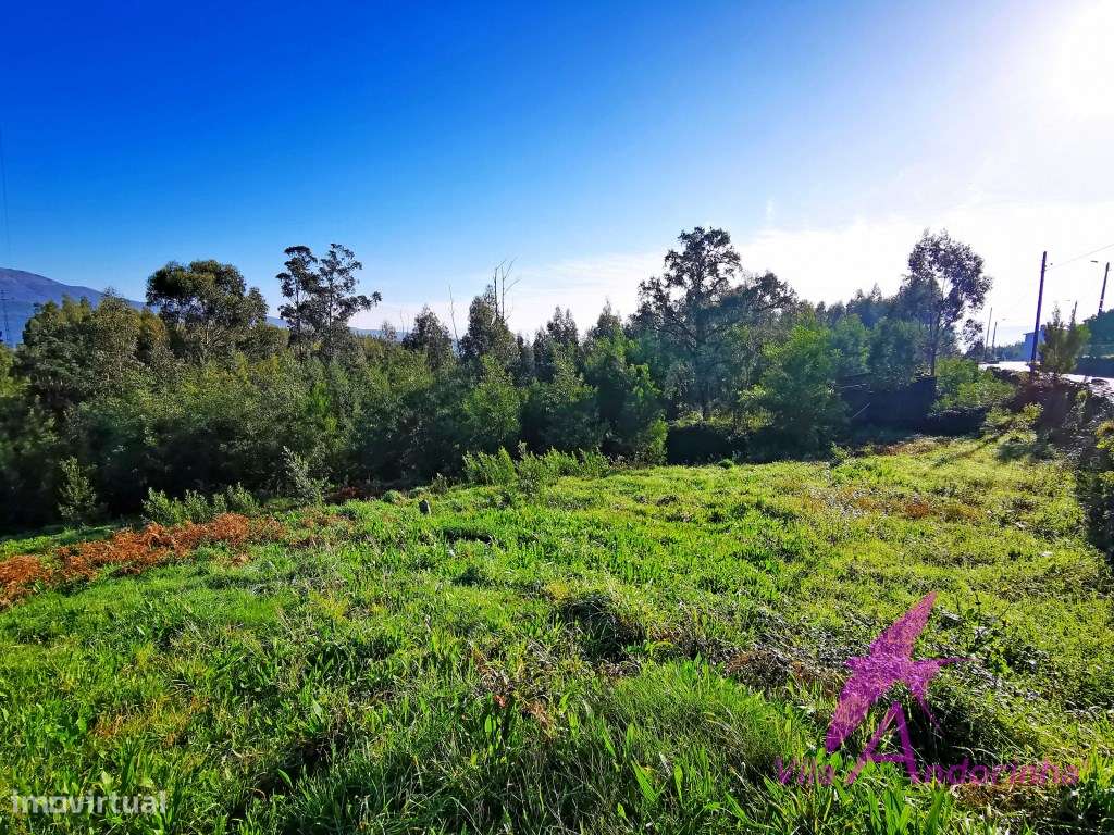Terreno em Nogueira com 3 000m2 para 3 moradias individuais - Grande imagem: 4/9