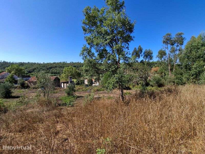 Quinta urbana (520m2) e rustica (26970m2) em Ceras / Tomar - Grande imagem: 5/12