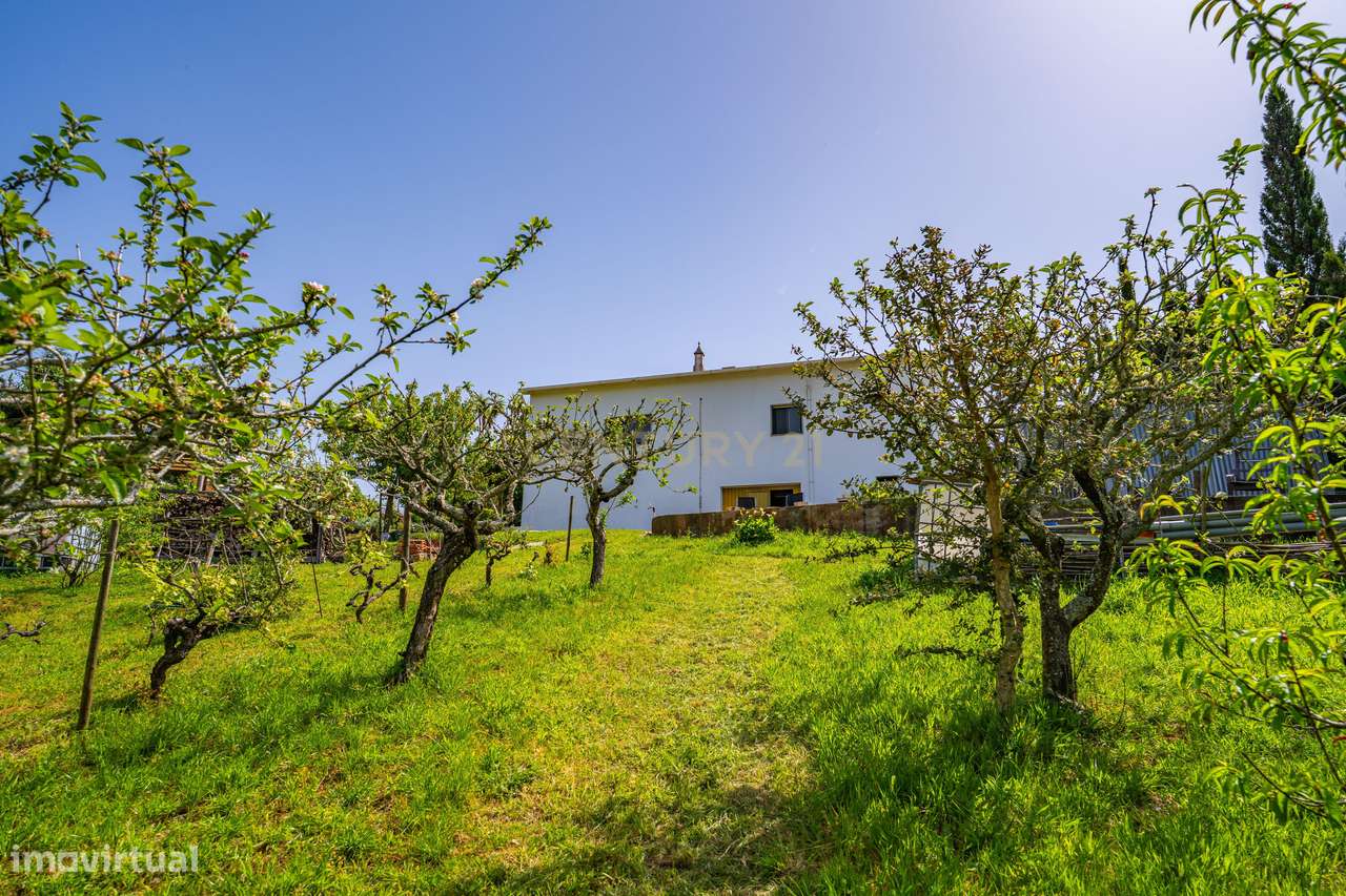 Moradia T3 localizada no Carvalhal, Bombarral-38