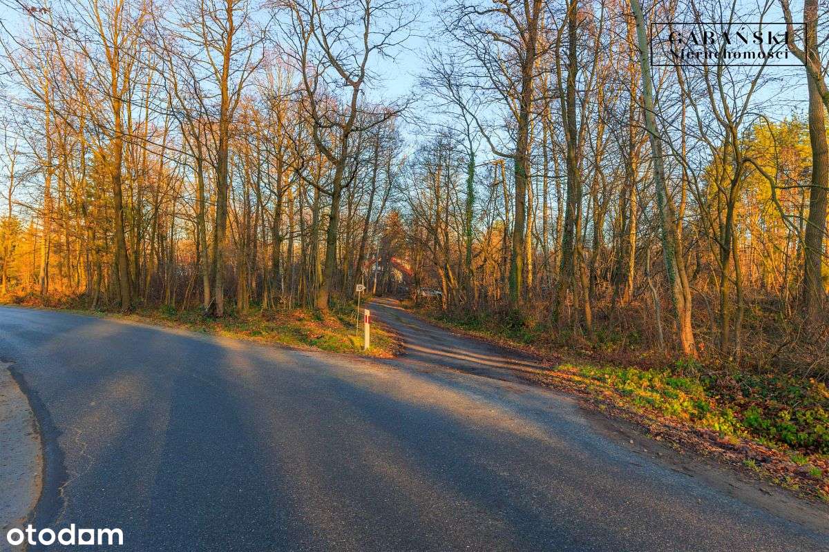 Działka budowlana na sprzedaż - Zaczarnie-17