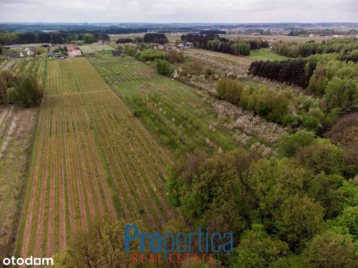 *Działka Kocerany - 4,72 ha - Blisko S7 **-8