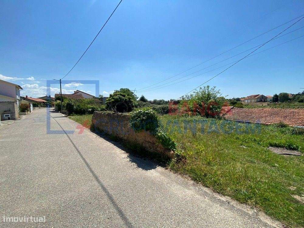 Terreno p/ moradia, para venda, Anadia - Amoreira da Gândara, Pared... - Grande imagem: 5/7