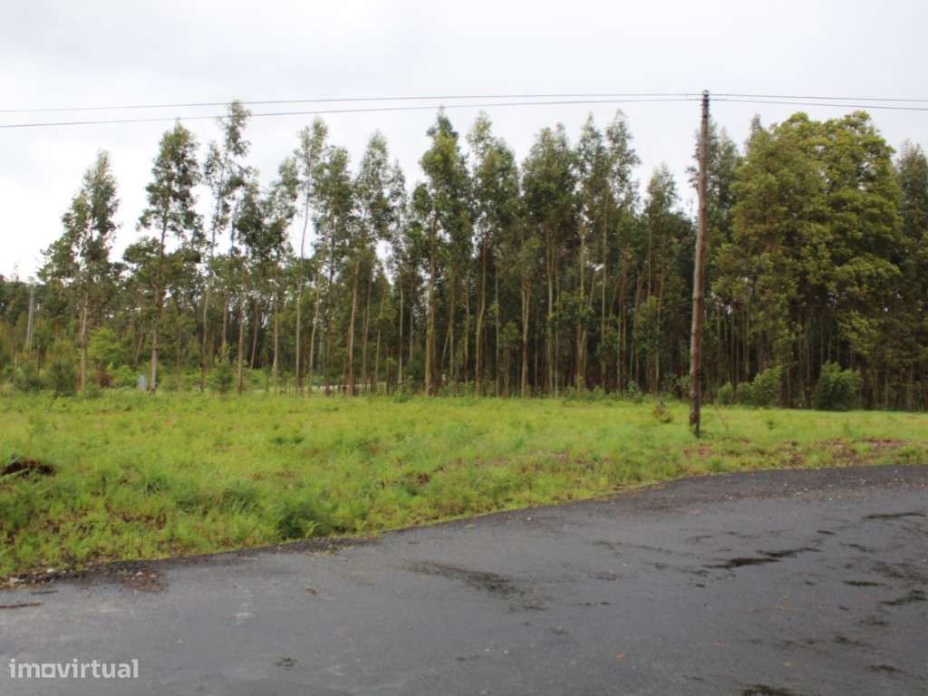 Terreno para construção - Grande imagem: 3/3