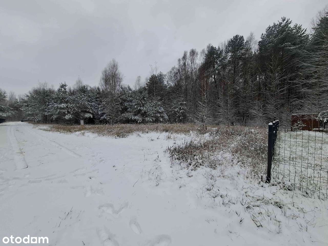 MALOWNICZA DZIAŁKA BUDOWLANA W OTOCZENIU LASU - Pełny obrazek: 4/5