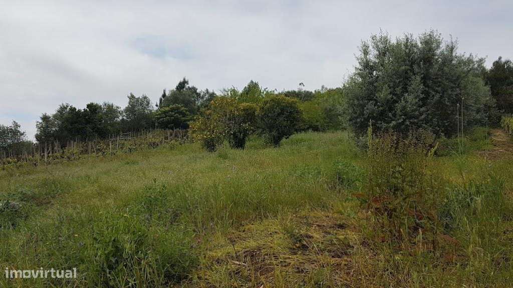 Terreno para Construção,  Ceira - Grande imagem: 3/16