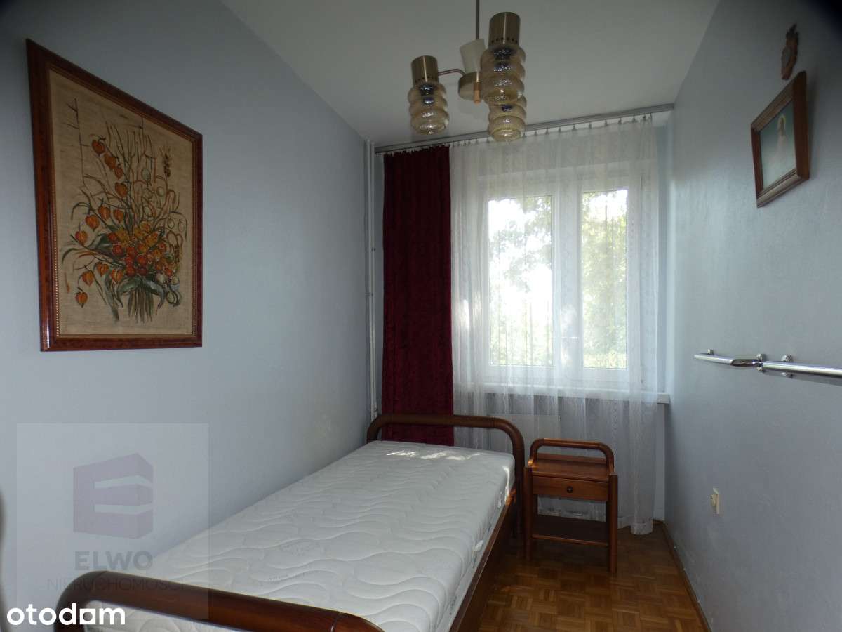 Ładne 3 pokoje z loggią jak w parku.-6