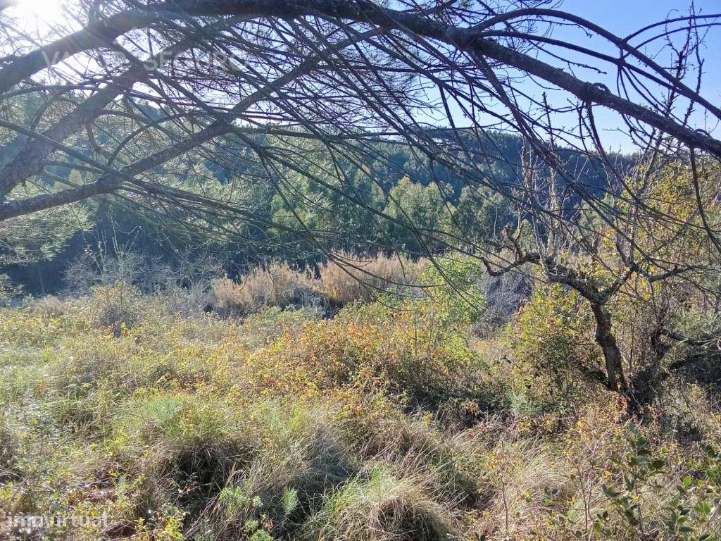 Terreno rústico em Vale Serrão, Pereiro de Palhacana, Alenquer-29