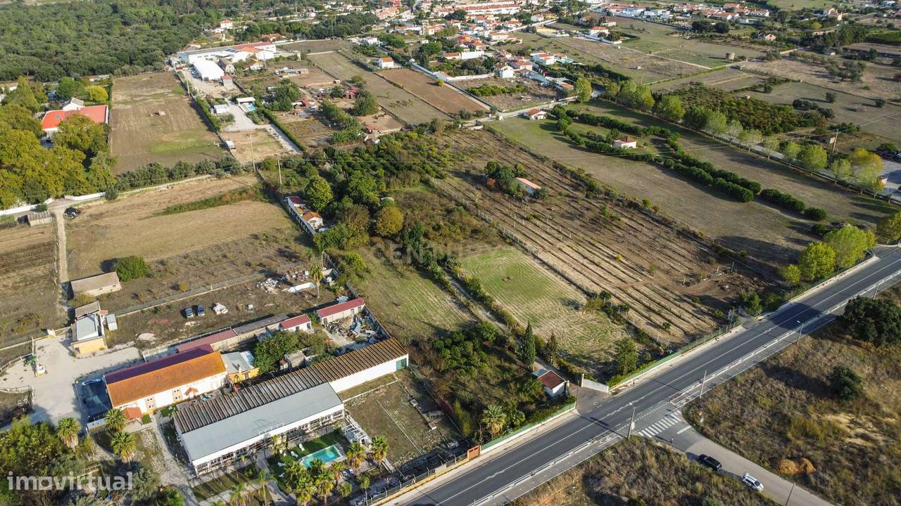 Terreno Rústico em Quinta do Anjo, Palmela - 11.800m2-18