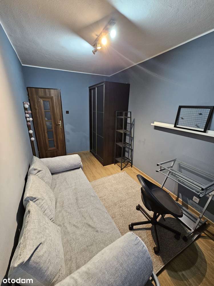 Świetna lokalizacja, 3 niezależne pokoje - Pełny obrazek: 5/13