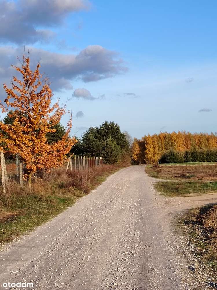 Działka z pozwoleniem na budowę, przy lesie - Pełny obrazek: 1/6