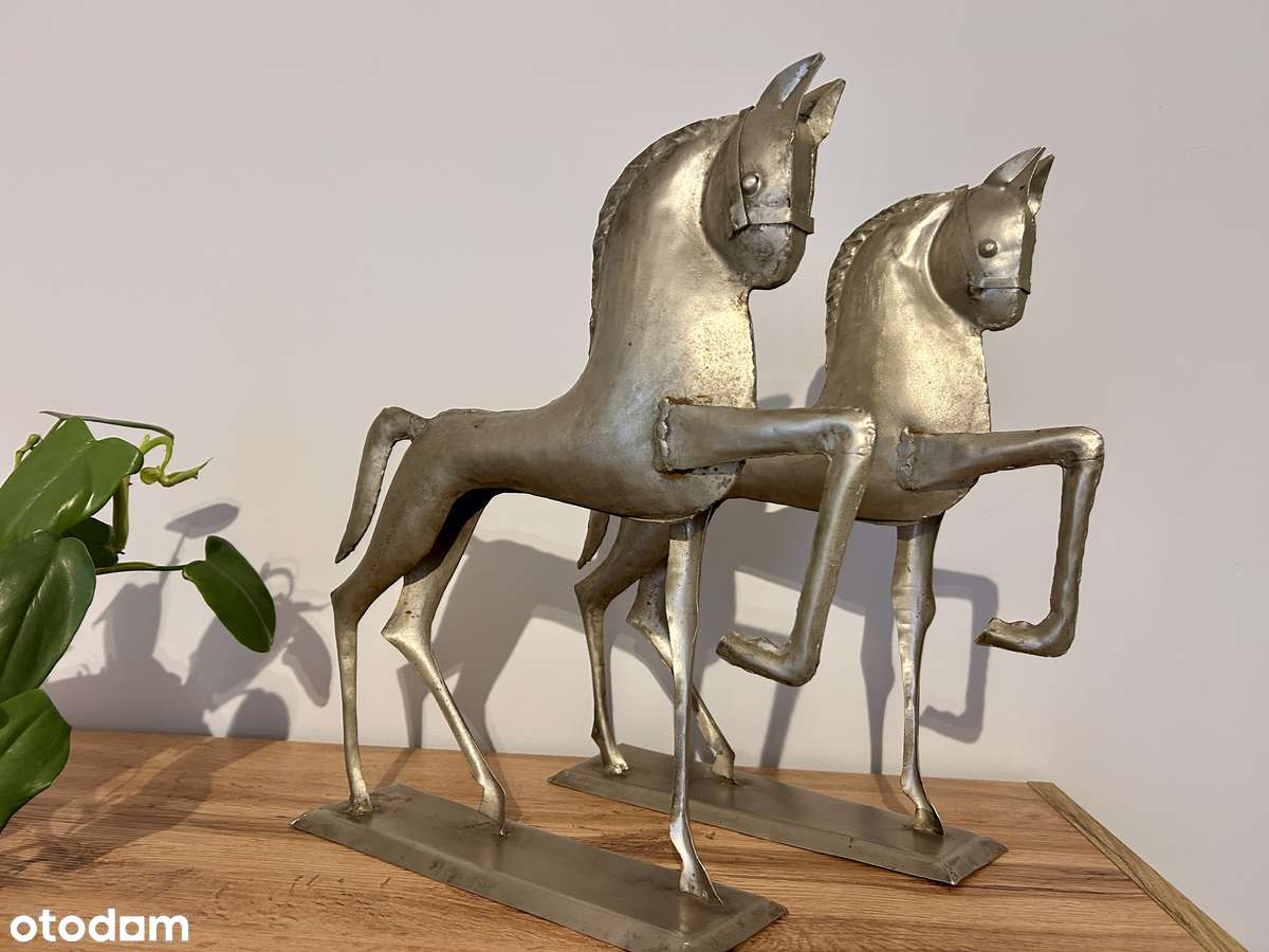 Piękny dom z duszą Wilczynie I parterowy I 4 pokoje I ogród I garaż-8