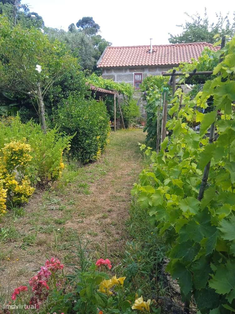 Quintinha - São Tomé de Covelas, Baião-1