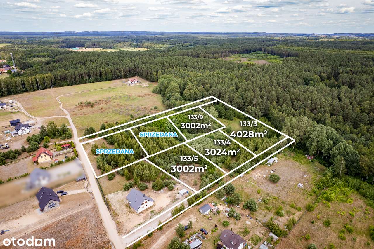 Działki budowlane 1.3 ha przy lesie Barcikowo Dobre Miasto-9