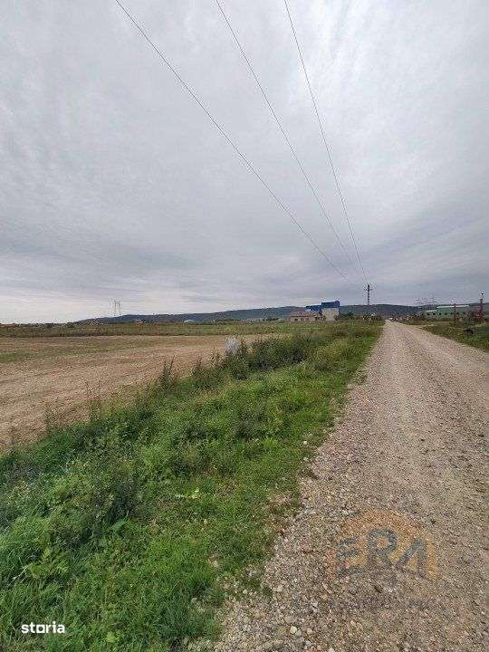 Teren Osorhei, Str. 610 - Imagine principală: 4/8