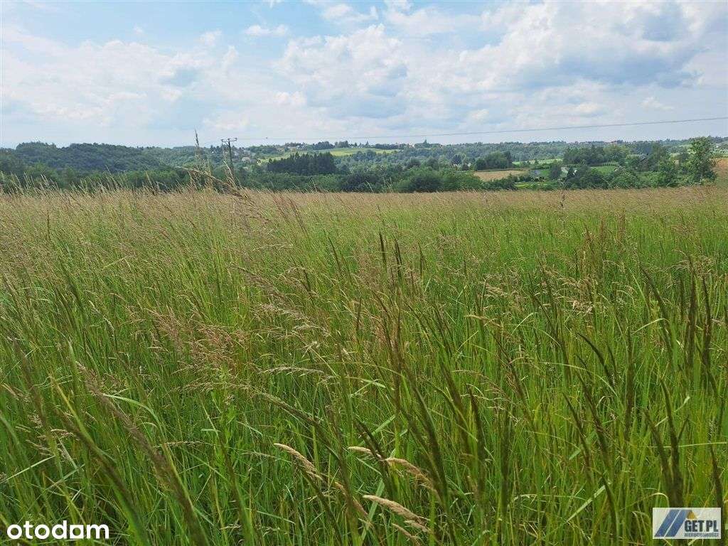 Działka budowlano-rolna Wielka Wieś
