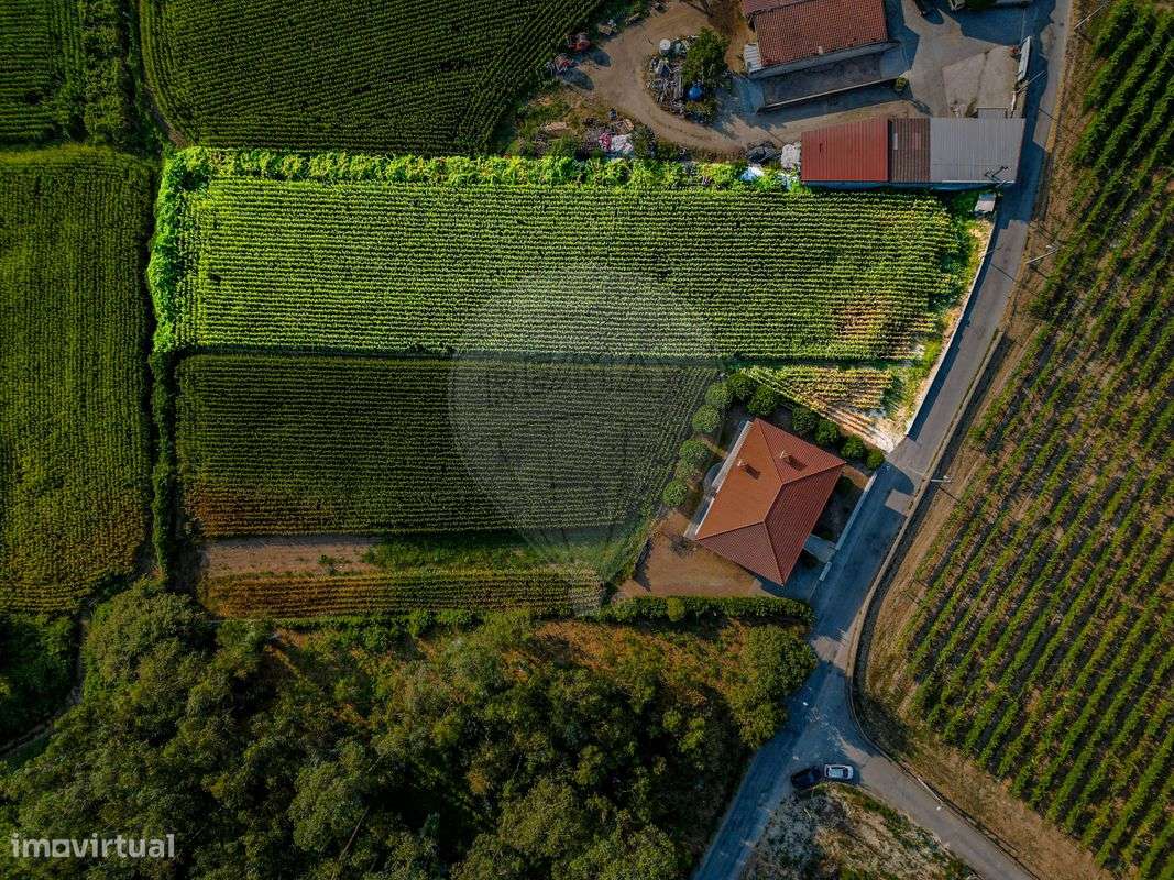 Terreno  para venda - Grande imagem: 3/5