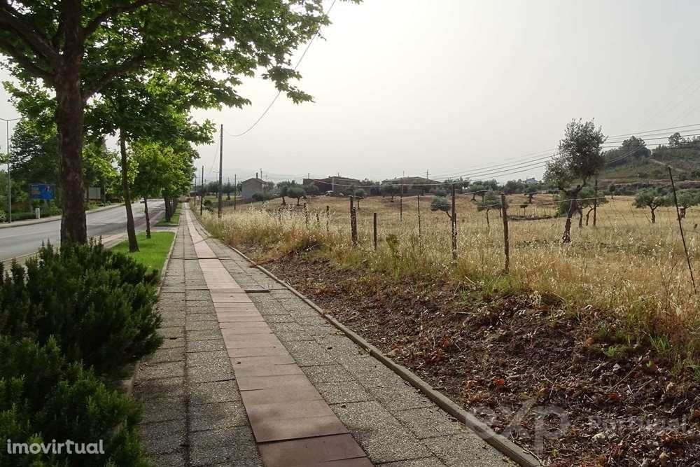 Terreno em Castelo Branco, a Lotear para construção residencial, com P