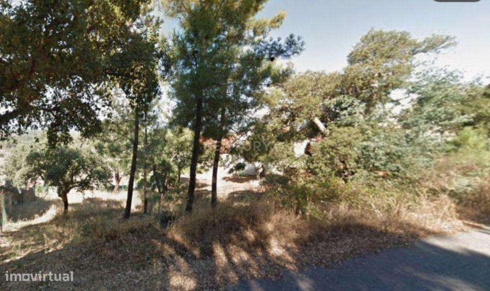 Terreno à venda em Salgueiro do Campo, Castelo Branco - Grande imagem: 5/8