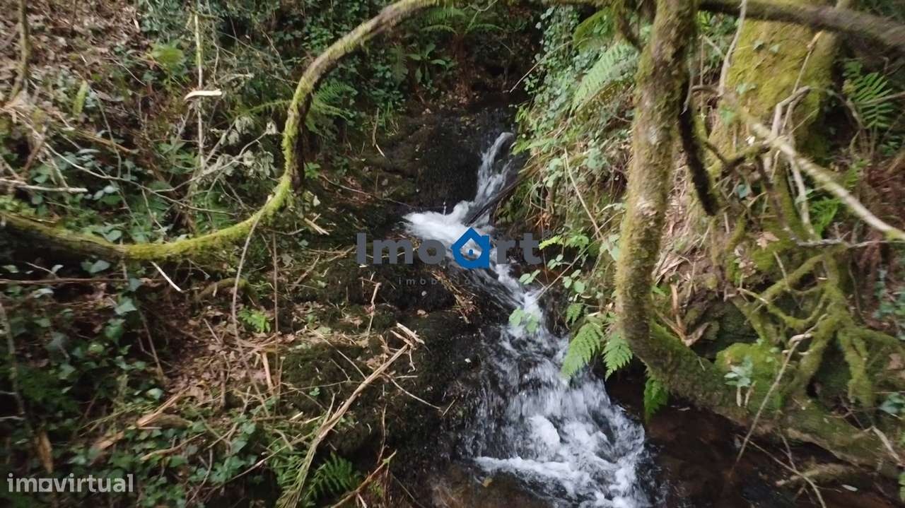 Quinta/Moradia em Pedra com 5.500 m² de Terreno em Fornelos – Ponte-16