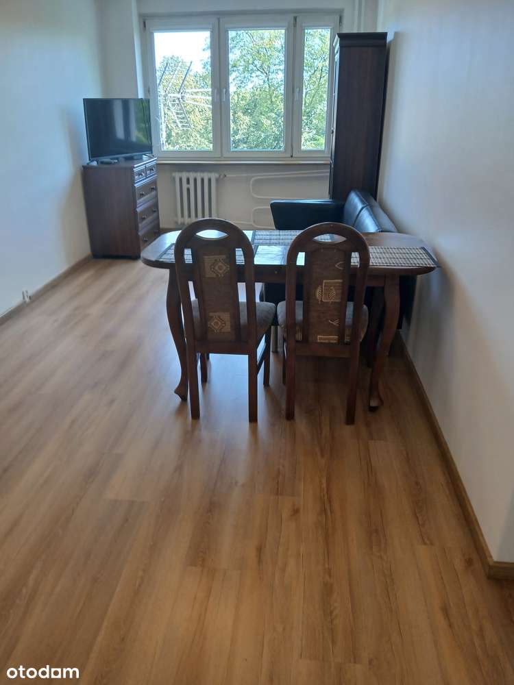 Wynajmę
