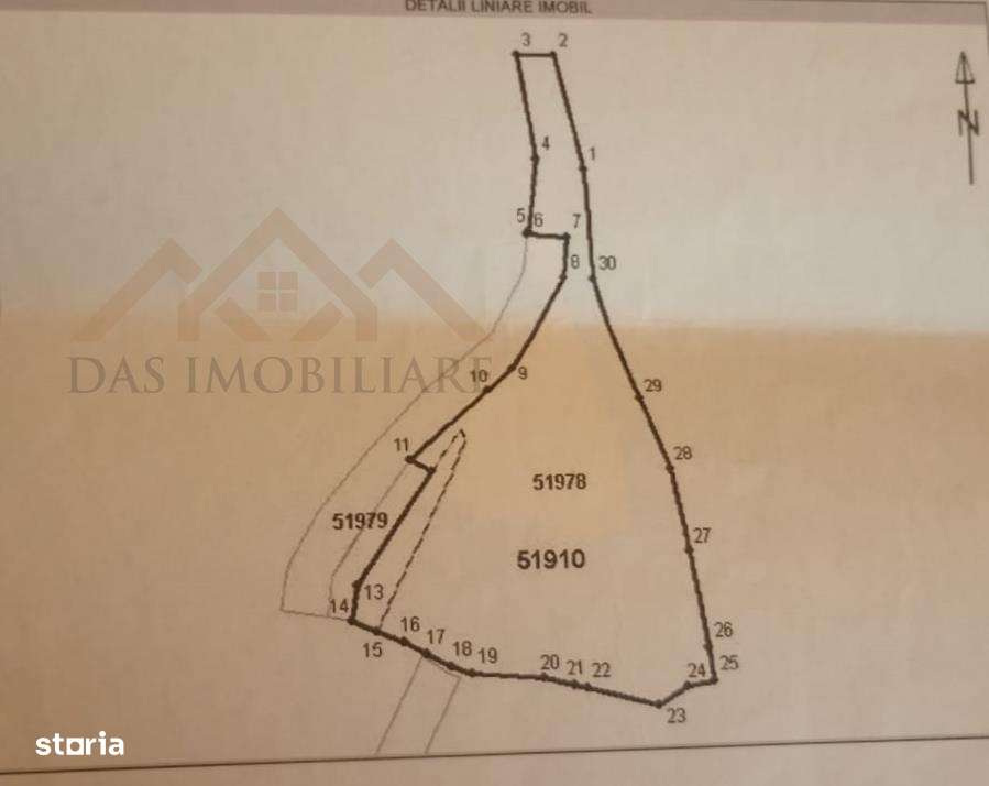 Teren intravilan,  2,5 ha, zona de deal in Seini - Imagine principală: 4/5