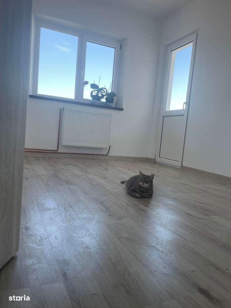 Apartament, 65 m², -0
