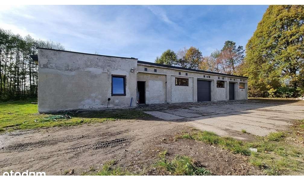 Hala usł.-prod. / można przekształcić w mieszkalny - Pełny obrazek: 4/8