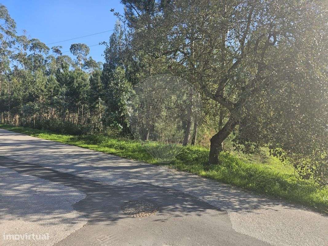 Terreno  para venda - Grande imagem: 2/8