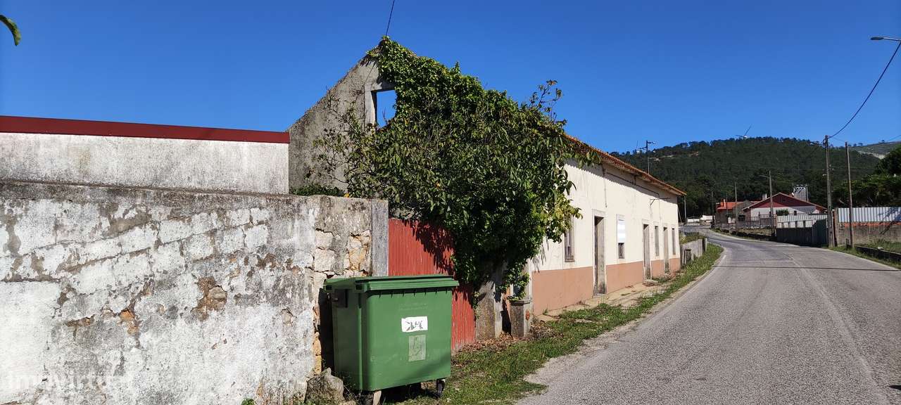 "Quintinha" de 5.100 m² na Moita Poço - Turquel-8