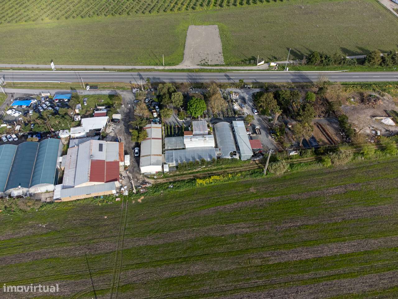 Trespasse de Centro de Jardinagem – Negócio Completo e Equipado - Beja-25