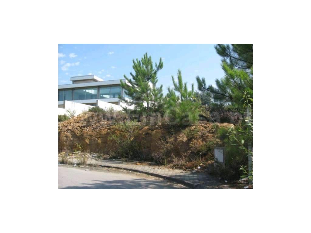 Terreno Venda Oliveira de Azeméis - Grande imagem: 2/9