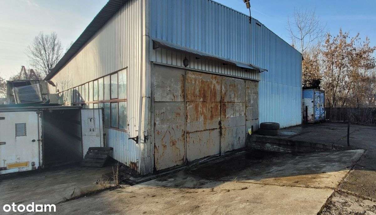 Hala, magazyn - Podgórze Centrum - Pełny obrazek: 4/5
