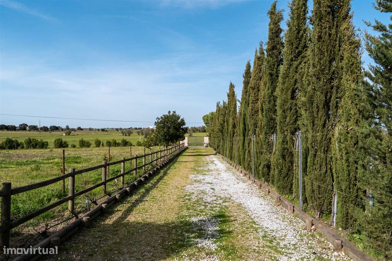 Quinta Biológica - Monte de Palma em Sao Manços com negócio.-47