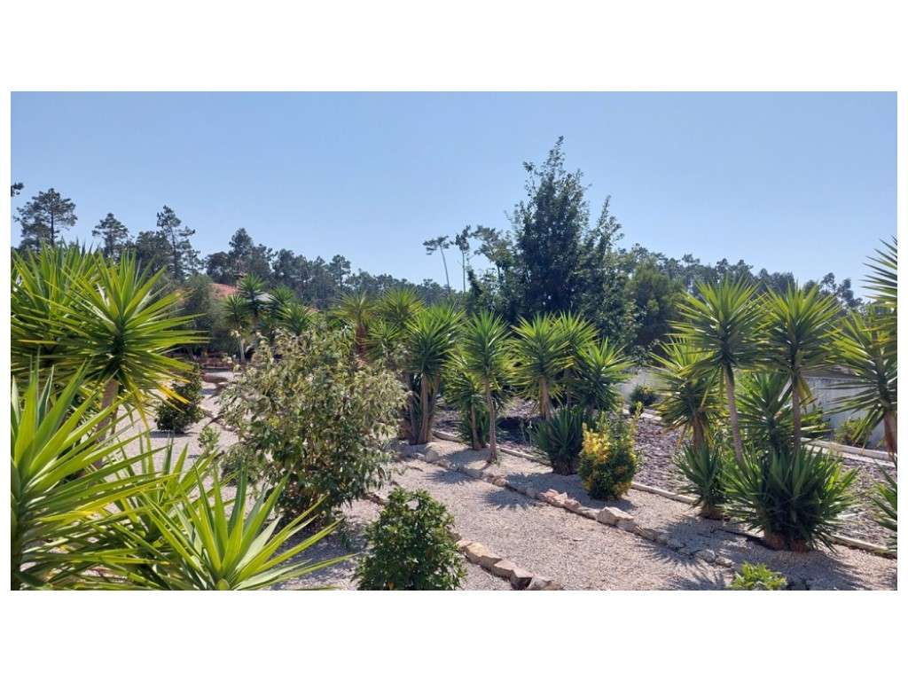 Moradia térrea, individual T4 com piscina e jacuzzi, zona Coimbrão-30