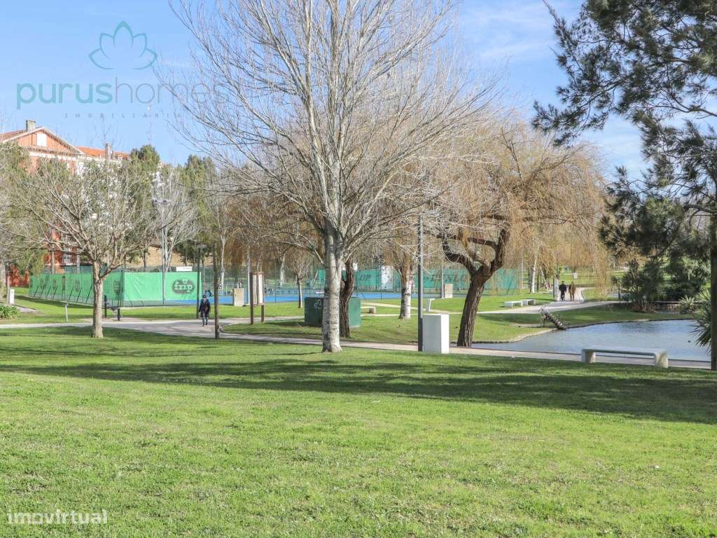 Loja no Centro de Aveiro , arrendada-6