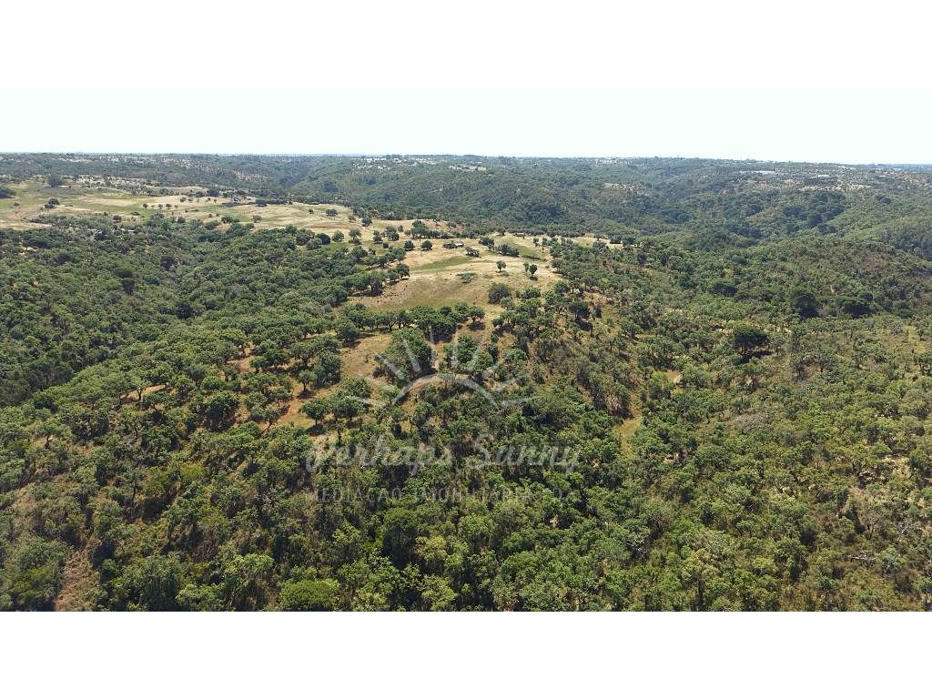 Terreno Misto - São Francisco da Serra - Melides-18