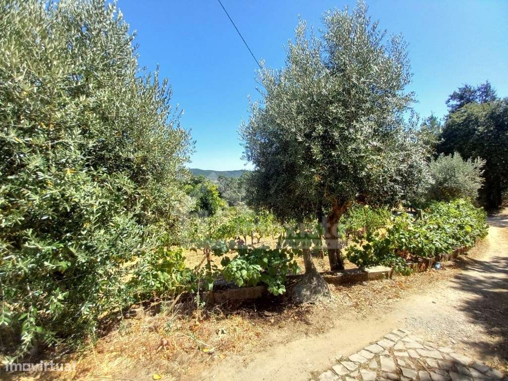 Moradia T4 pronta a habitar em Figueiró dos Vinhos-27