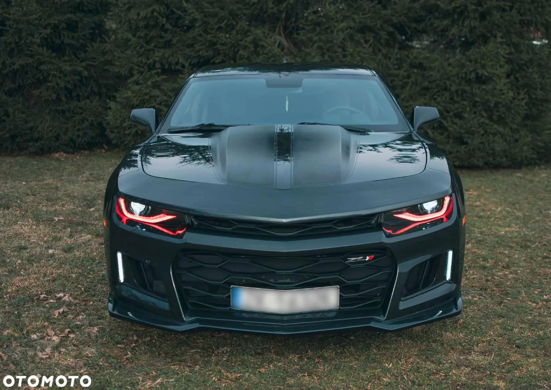 Chevrolet Camaro - 1