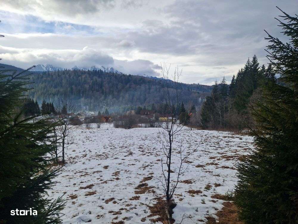 Teren intravilan 1.200 mp Malu Ursului - Predeal - Imagine principală: 4/7